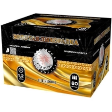 ЗОЛОТАЯ ЛИХОРАДКА 80_залпов,калибр_1,2"
